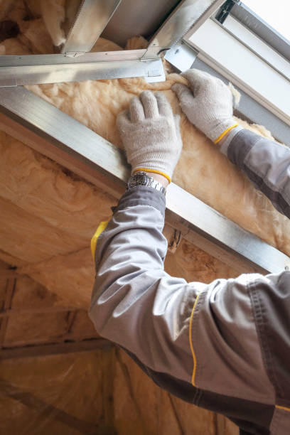 Best Spray Foam Insulation  in Avila Beach, CA